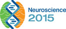 Brain Mapping Lab attends SfN in the Windy City!