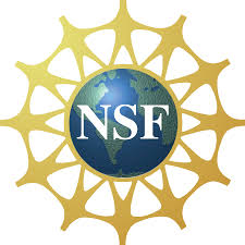 Dr. Gunduz receives prestigious NSF CAREER Award